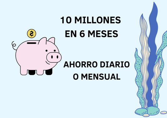 10 MILLONES EN 6 MESES (diario o mensual)