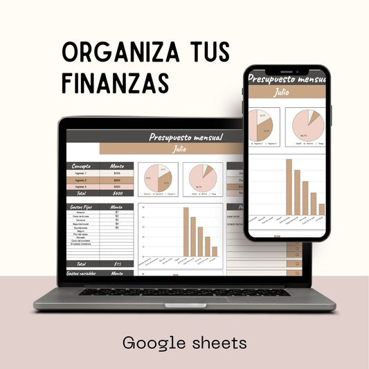 ORGANIZA TUS FINANZAS (google sheets)