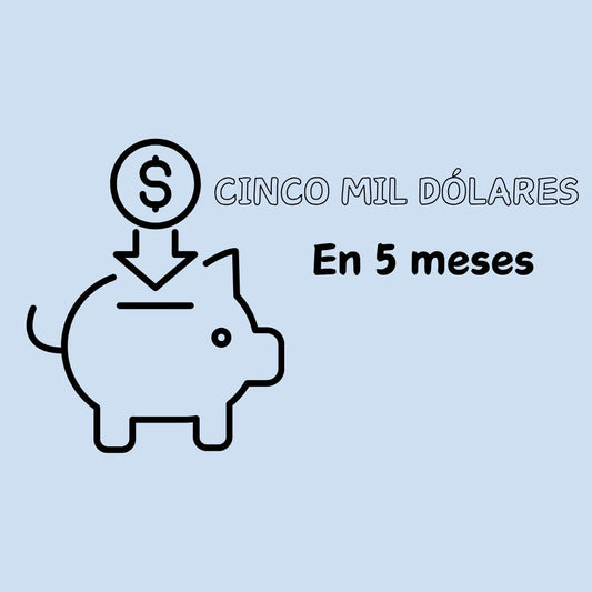 5 MIL DÓLARES EN 5 MESES